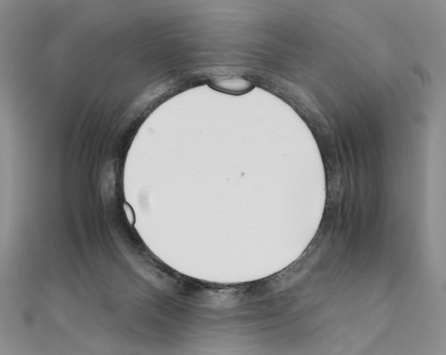 X0000110930120200907301631