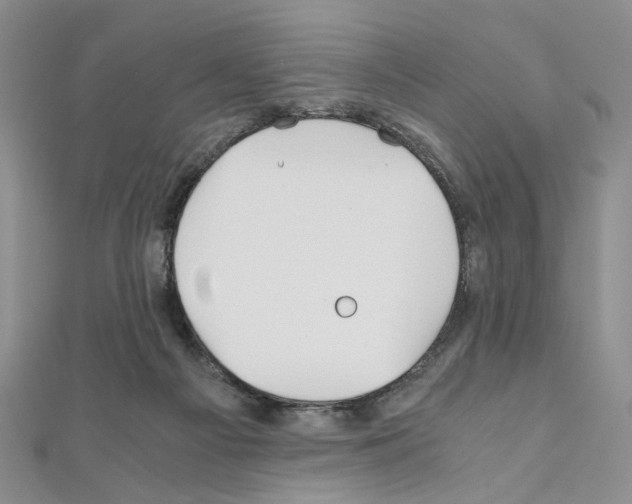 X0000110930121200907301631