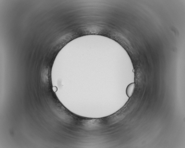 X0000110930122200907301631