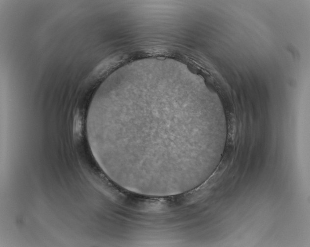 X0000110930124200907301631