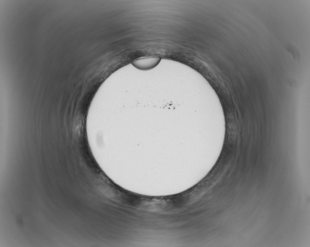 X0000110930125200907301631