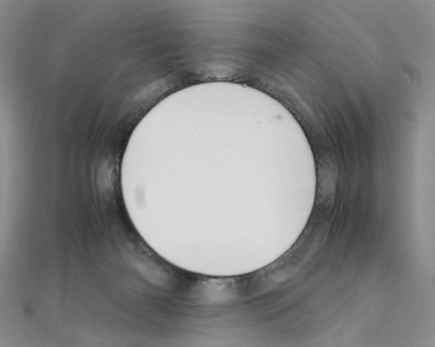 X0000110930126200907301631