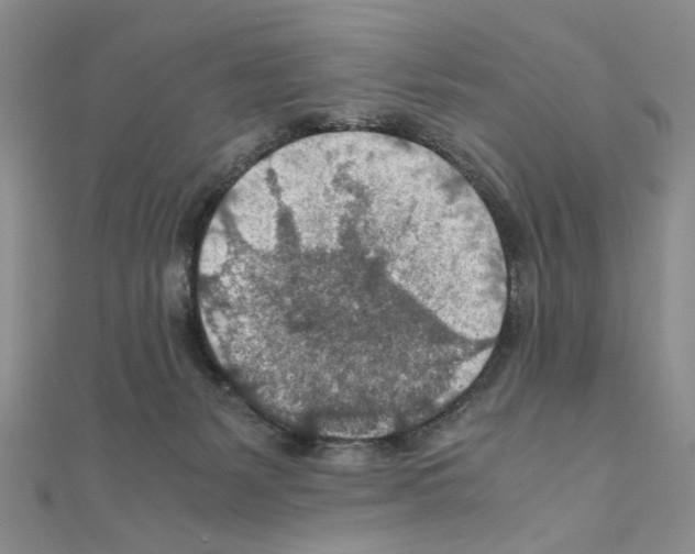 X0000110930127200907301631