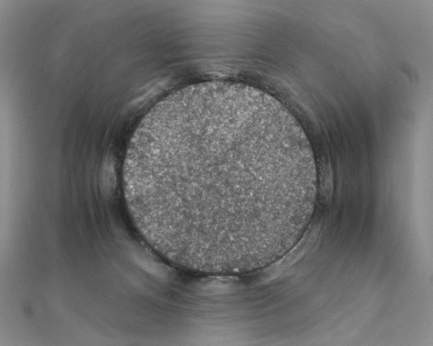 X0000110930128200907301631