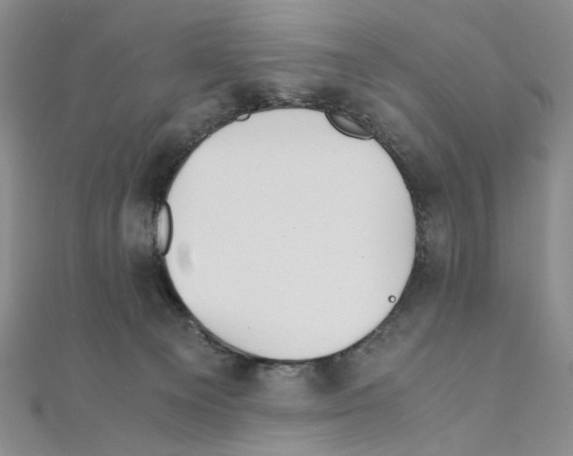 X0000110930129200907301631