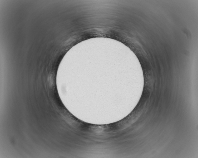 X0000110930131200907301631