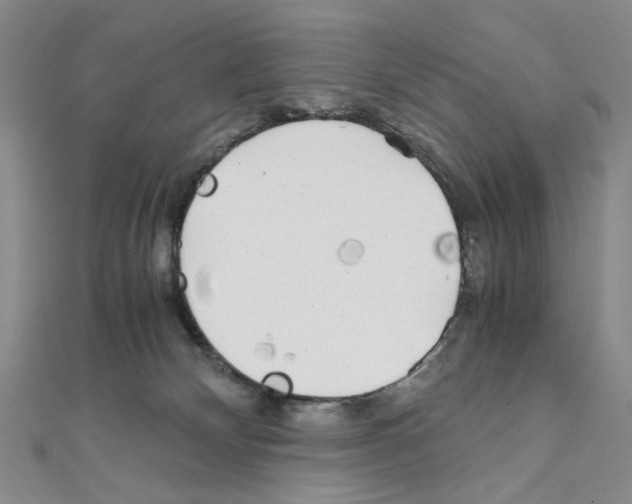 X0000110930132200907301631