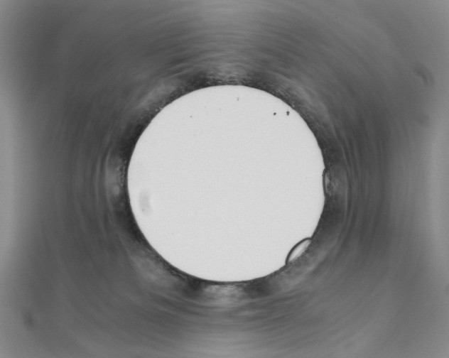 X0000110930133200907301631