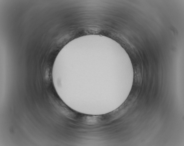 X0000110930134200907301631