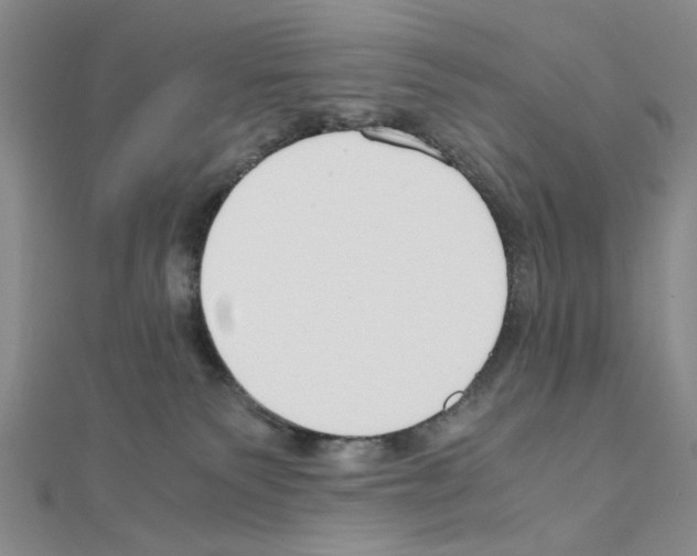 X0000110930135200907301631