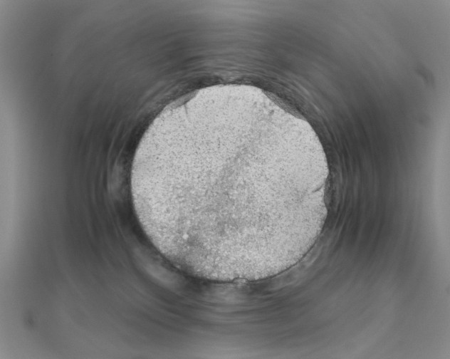 X0000110930136200907301631