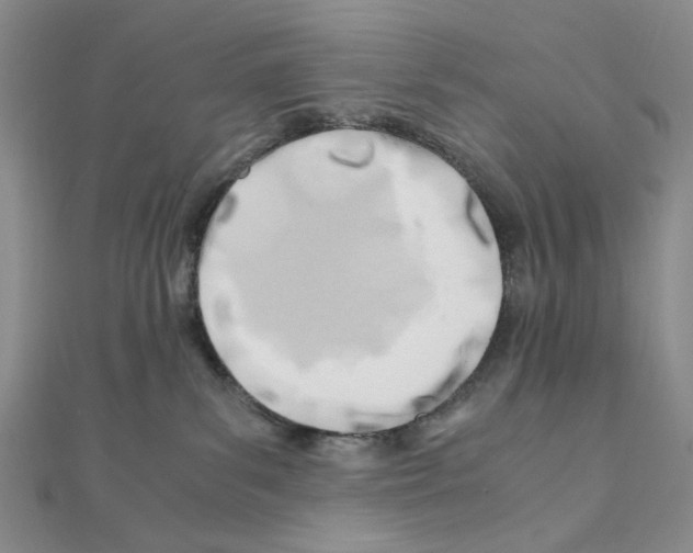 X0000110930139200907301631