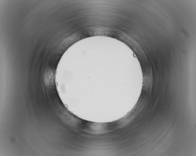 X0000110930142200907301631