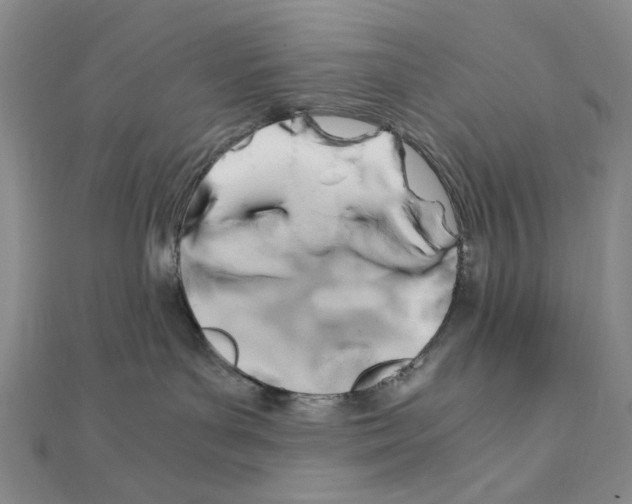 X0000110930143200907301631