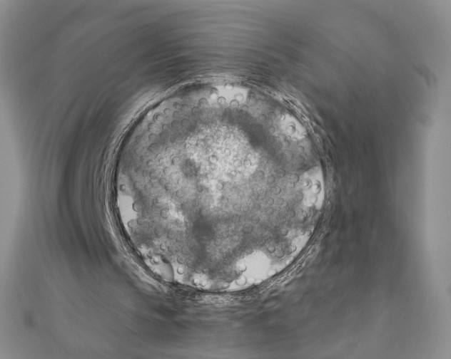 X0000110930145200907301630