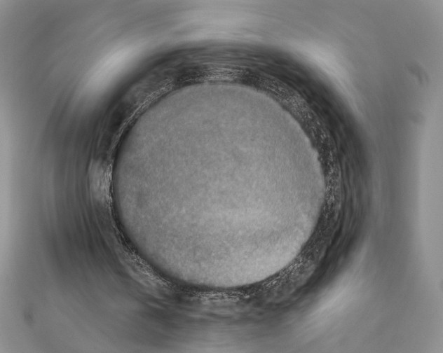 X0000110930146200907301630
