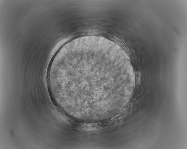 X0000110930147200907301630