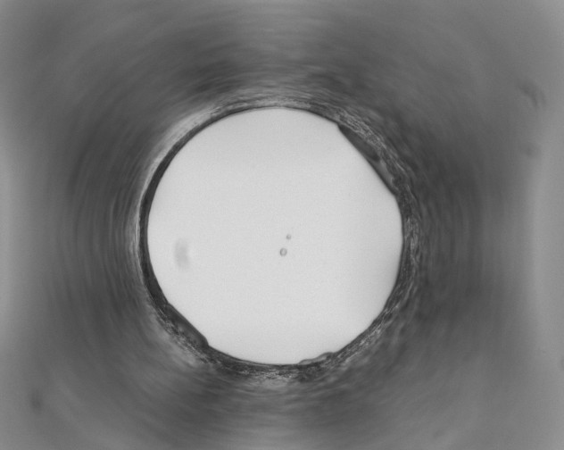 X0000110930148200907301630