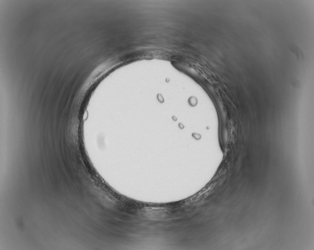 X0000110930150200907301630