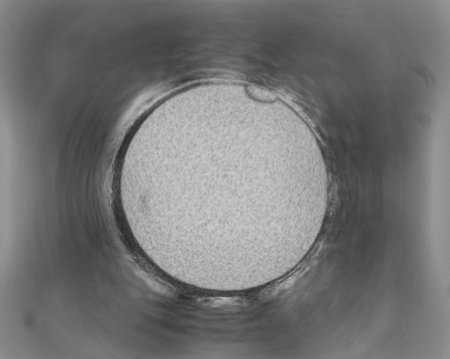 X0000110930151200907301630
