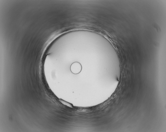 X0000110930152200907301630