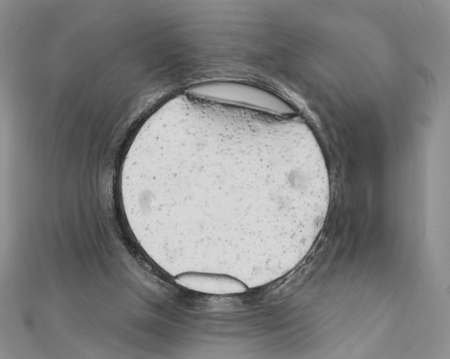 X0000110930154200907301630