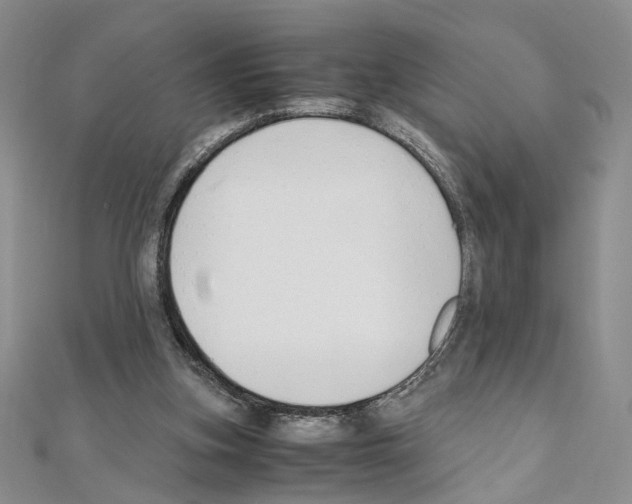 X0000110930155200907301631
