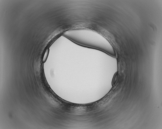 X0000110930156200907301631