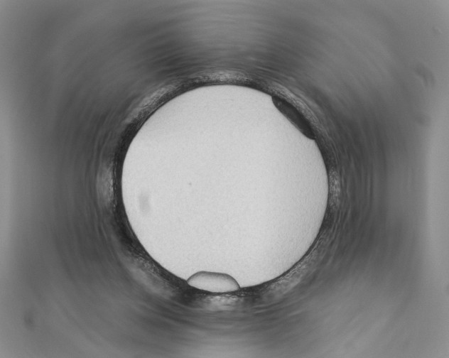 X0000110930158200907301631