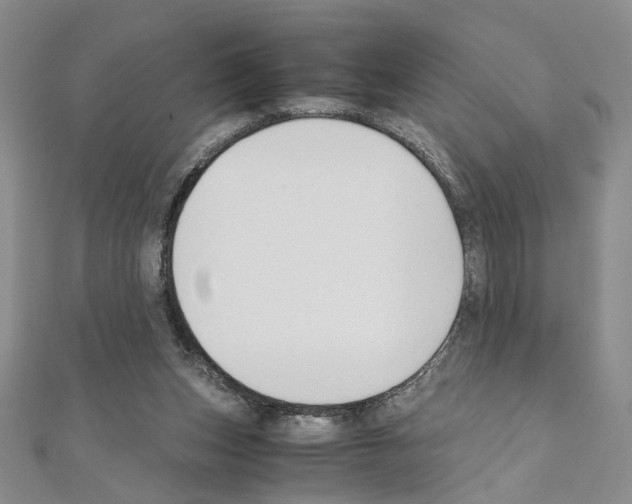 X0000110930159200907301631