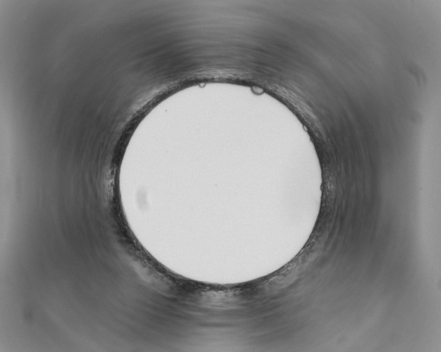 X0000110930160200907301631