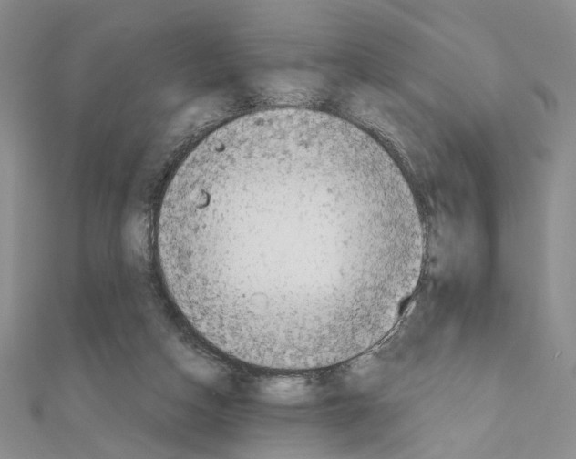 X0000110930162200907301631