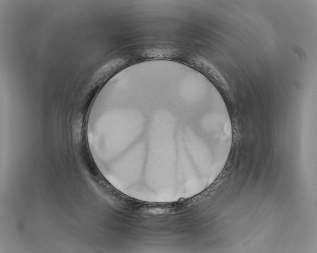 X0000110930163200907301631