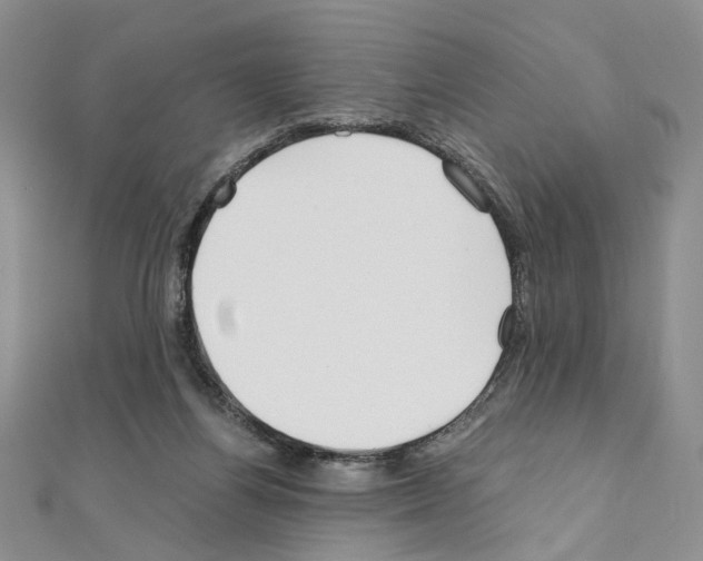 X0000110930164200907301631