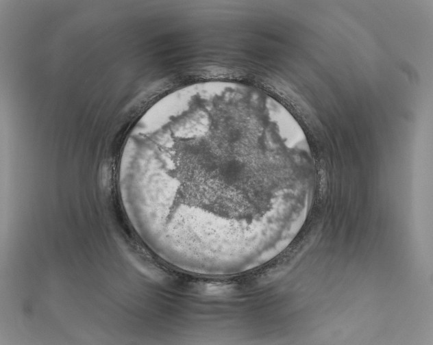 X0000110930165200907301631