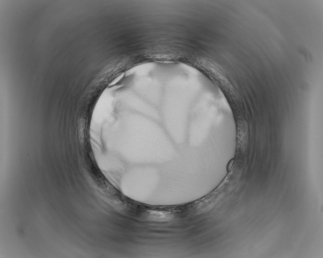 X0000110930167200907301631