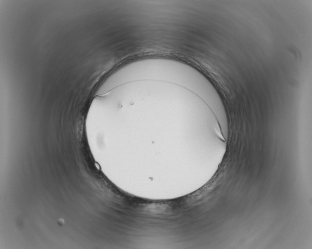 X0000110930168200907301631