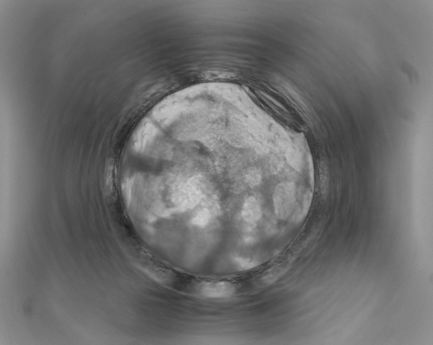X0000110930169200907301631
