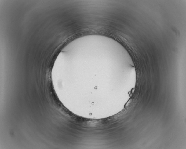 X0000110930172200907301631