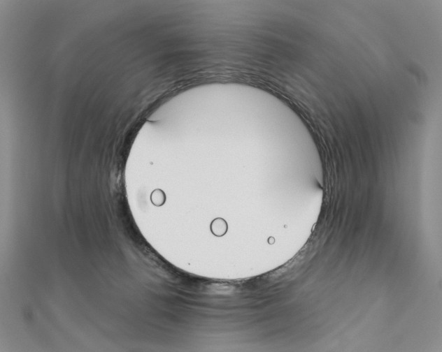 X0000110930176200907301631