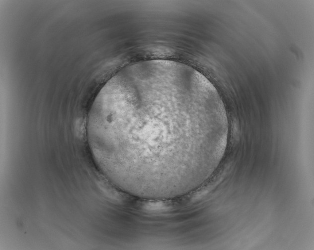 X0000110930177200907301631