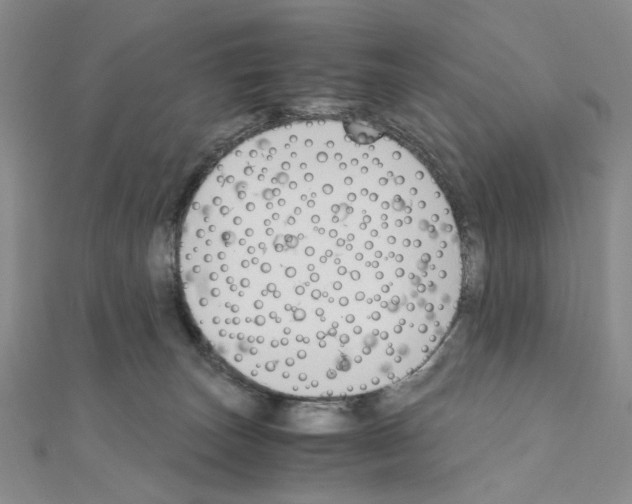 X0000110930179200907301631