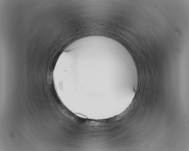 X0000110930180200907301631