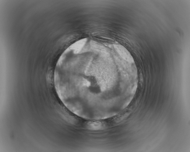 X0000110930181200907301631