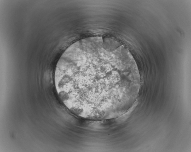 X0000110930182200907301631