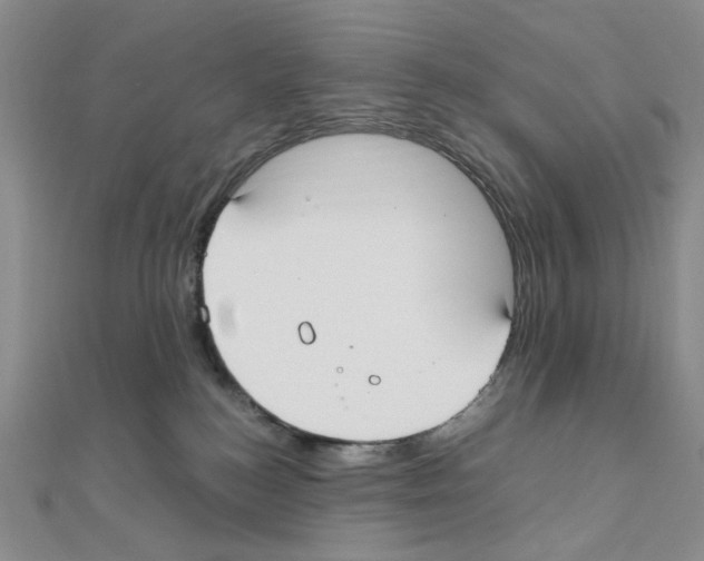 X0000110930184200907301631