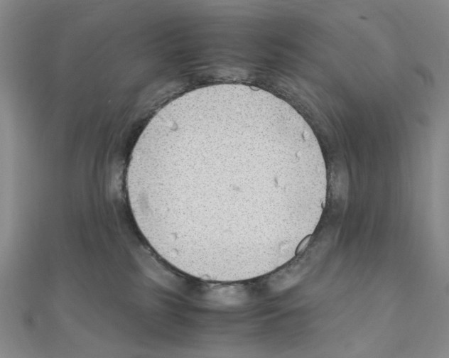 X0000110930185200907301631