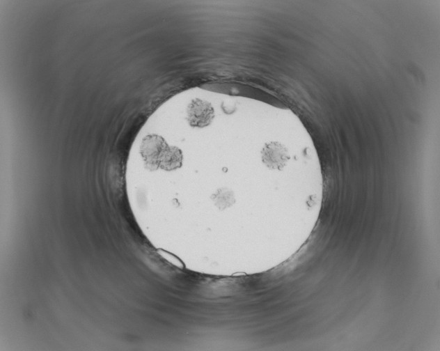 X0000110930186200907301631