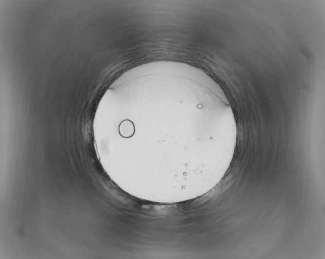 X0000110930188200907301631