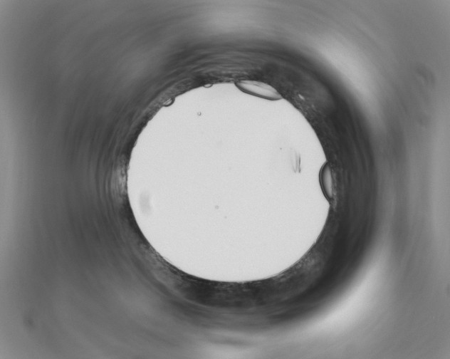 X0000110930190200907301631